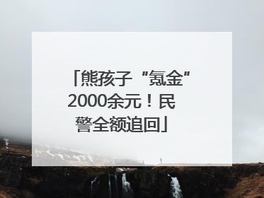 熊孩子“氪金”2000余元！民警全额追回